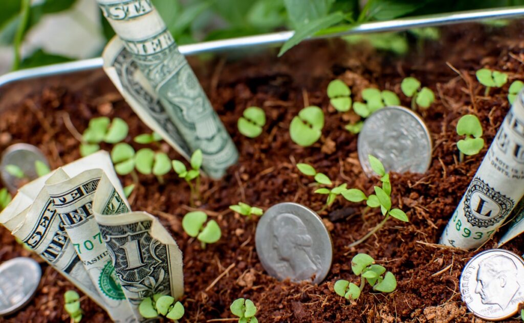 Cotação de dólar